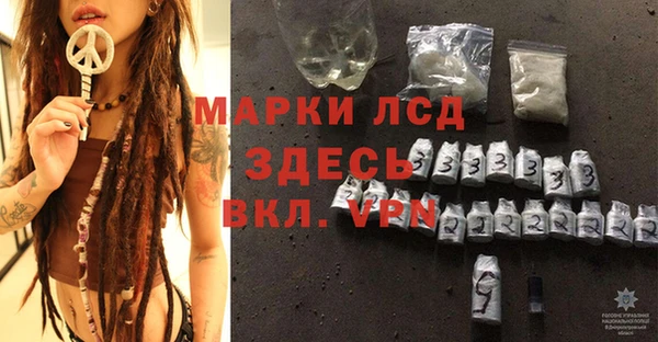 прущие грибы Каменногорск