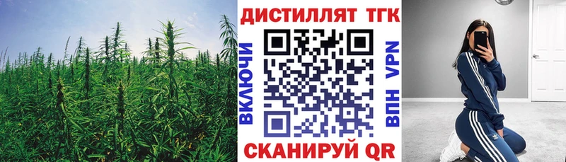 Купить закладки Волхов ТГК жижа